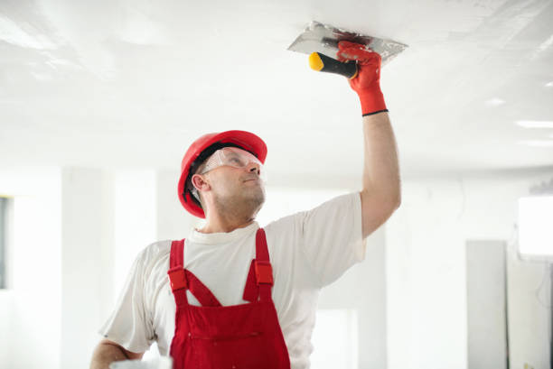 Trusted Arlington, VA Mold Removal Experts