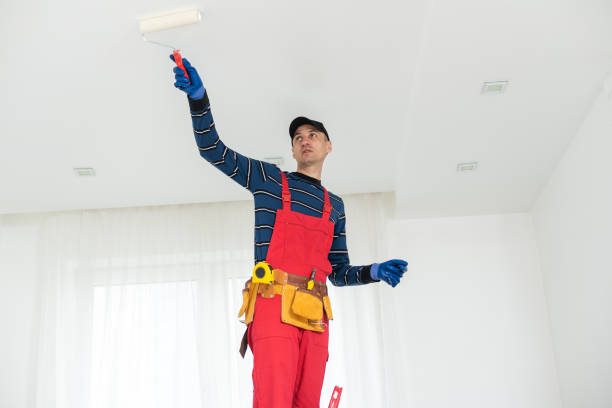 Mold Odor Removal Services in Arlington, VA